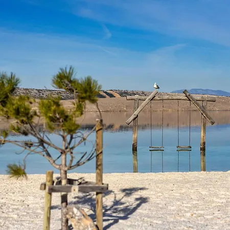 Ocean Front In Daire *